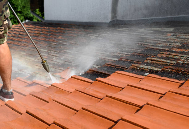 Pressure Washing Contractors in Tremont, IL