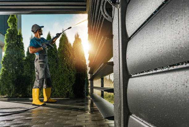 Best Concrete Pressure Washing  in Tremont, IL