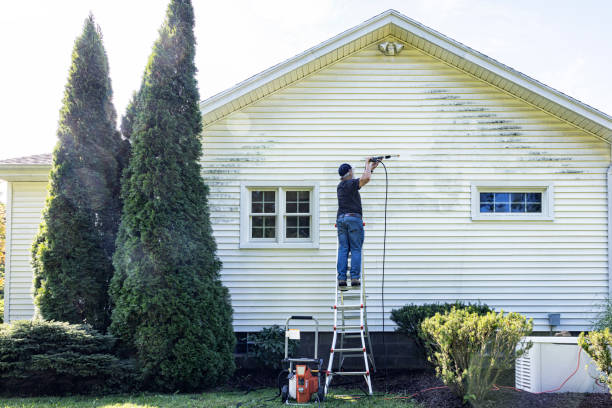 Reliable Tremont, IL Pressure Washing Solutions