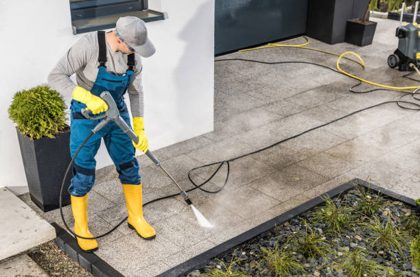 Best Sidewalk Pressure Washing  in Tremont, IL