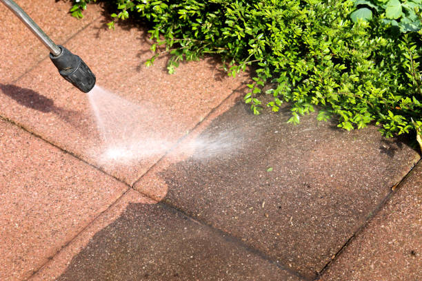 Best Roof Power Washing Services  in Tremont, IL