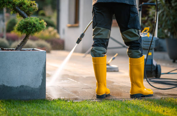 Best Power Washing Near Me  in Tremont, IL